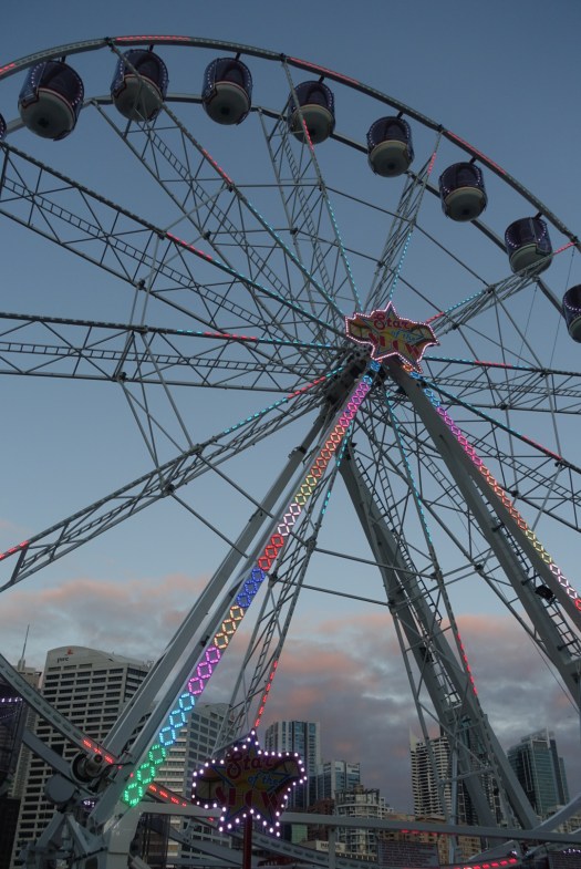 The carousel lit up during Vivid Sydney
