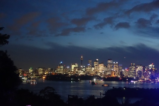 Taronga zoo during Vivid with Sydney lit up over the harbour