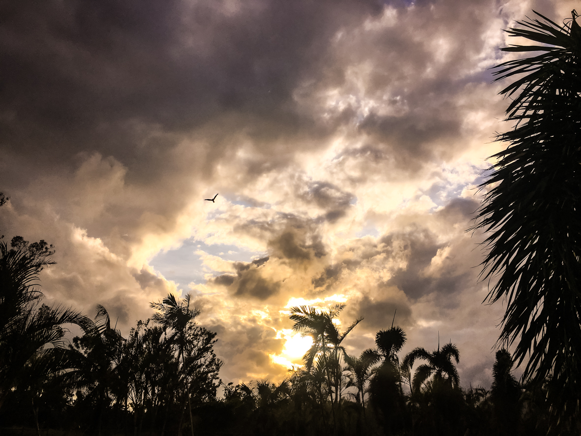 Tropical oasis in Airlie Beach