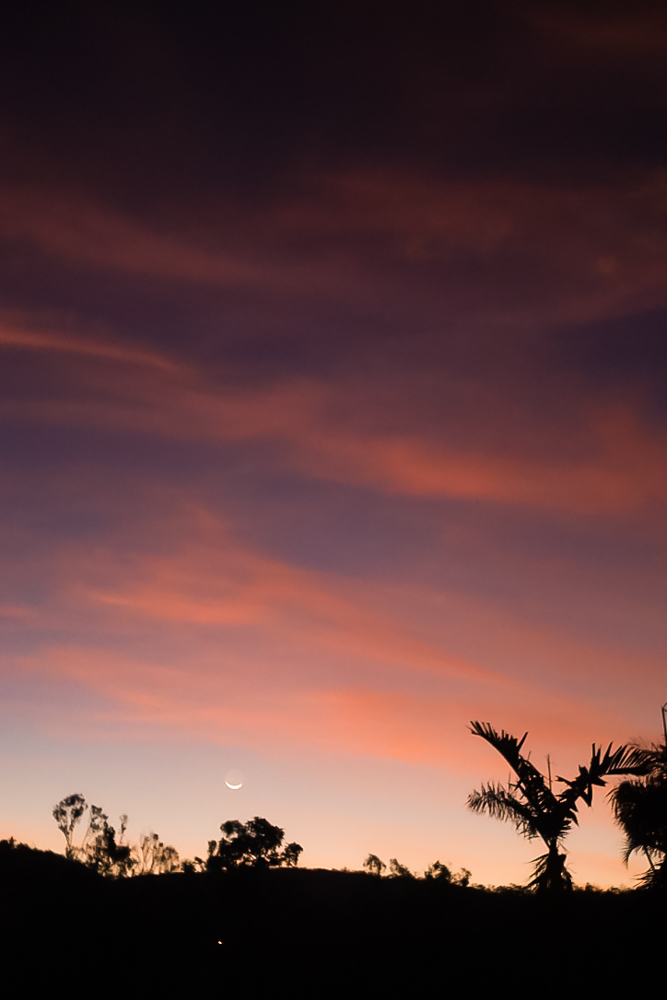 Crescent moon against the pink sky at sunset