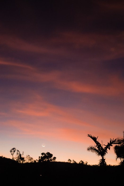 Crescent moon against the pink sky at sunset