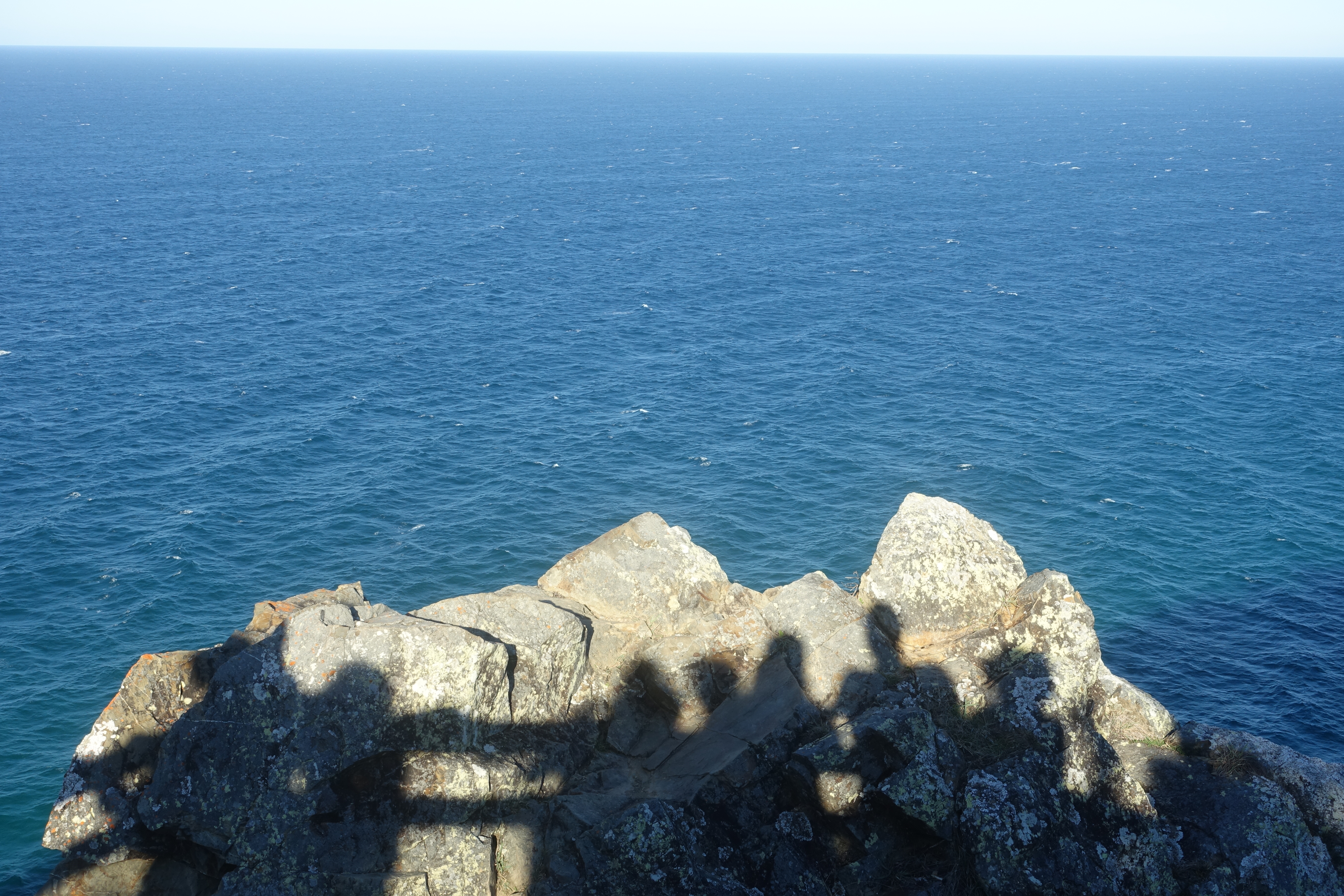 Whale watching at Cape Byron Lighthouse