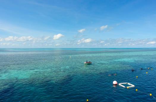 Snorkelling at the Great Barrier Reef