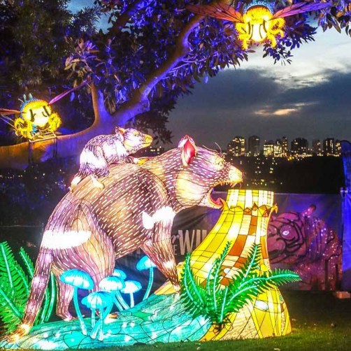 Vivid-at-Taronga-Zoo